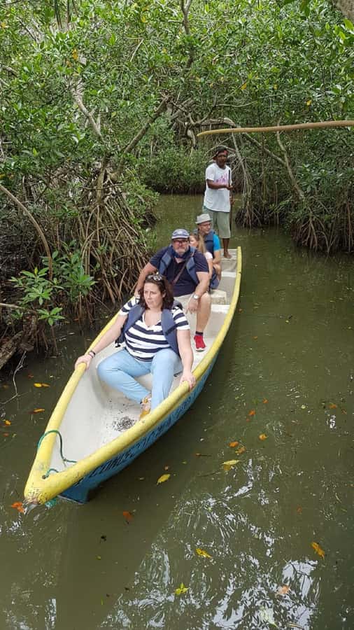 Cartagena: Sail in the mangroves of Cartagena - Starting near La Boquilla and Marlinda
