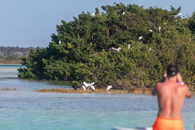 Catamaran Adventure: Sailing and Swimming in the Bacalar Lagoon - Drinks, fruit snacks, and the social mood