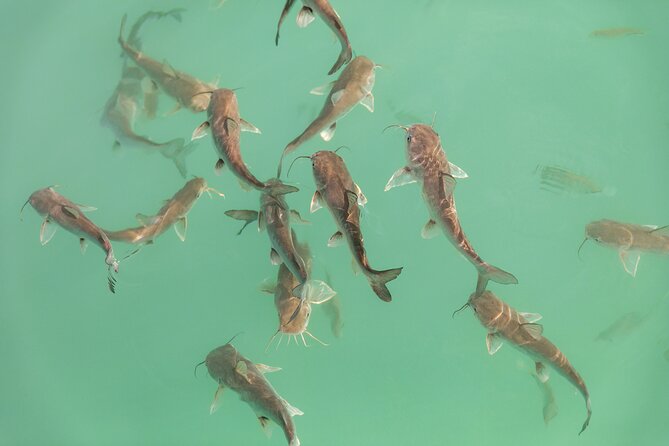 Catamaran Adventure: Sailing and Swimming in the Bacalar Lagoon - A closer look at the crew and service