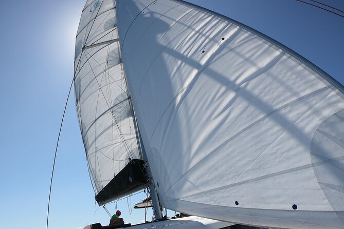 Catamaran Alghero, Catamaran Sailing Day Trip - Why the catamaran matters
