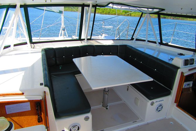 Catamaran Sailing Dolphin/Manatee Watch in Daytona Beach - Watching for Dolphins and Manatees