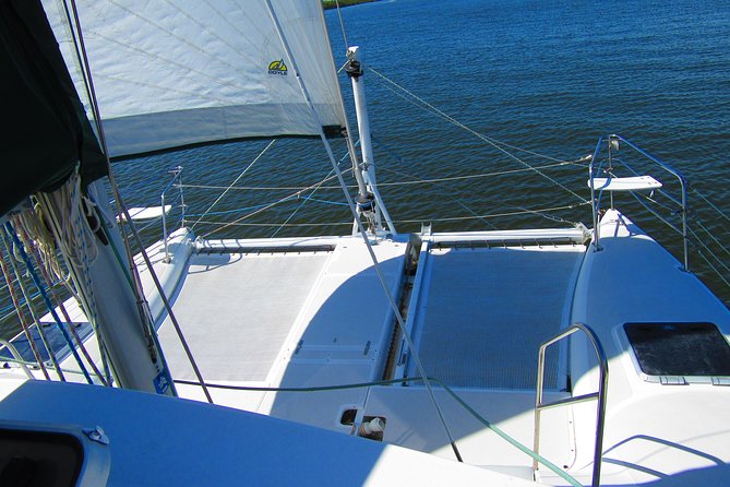 Catamaran Sailing Dolphin/Manatee Watch in Daytona Beach - Is $64 a Fair Price?