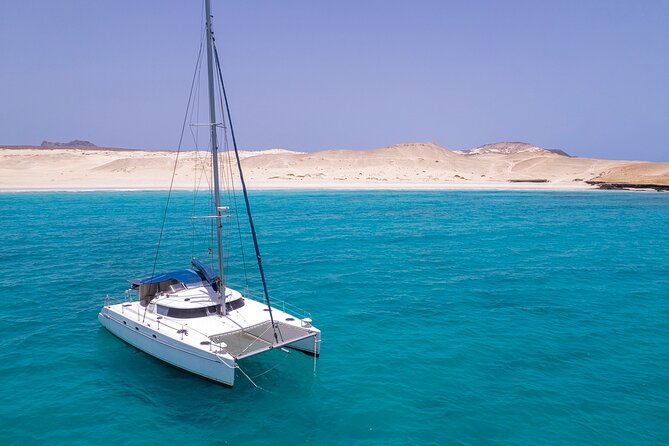 Catamaran Sailing Tour or Whale Watching at Boa Vista - Who will enjoy this outing most