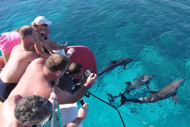 Catamaran Sailing Tour - The first snorkel stop: coral and clear water