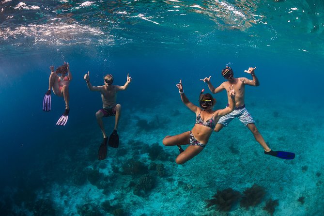 Catamaran Snorkel & BBQ Sail (cruise friendly) - A barbecue lunch that earns its place