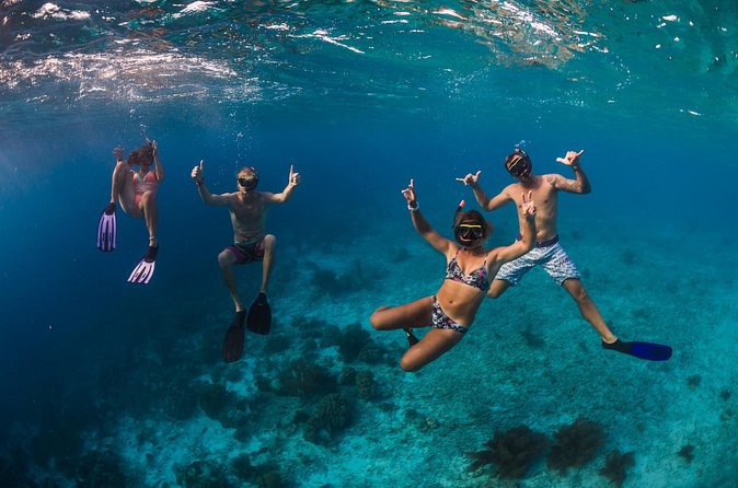 Catamaran Snorkel & BBQ Sail (cruise friendly) - Who will get the most from this tour