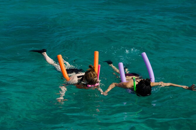 Champagne Dolphin Sail and Reef Snorkel - Weather and cancellation details worth taking seriously