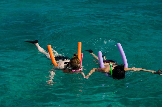 Champagne Dolphin Sail and Reef Snorkel - Who will enjoy Catamaran Echo most