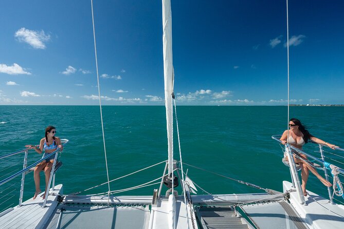Champagne Dolphin Sail and Reef Snorkel - A coral reef stop with about an hour to snorkel