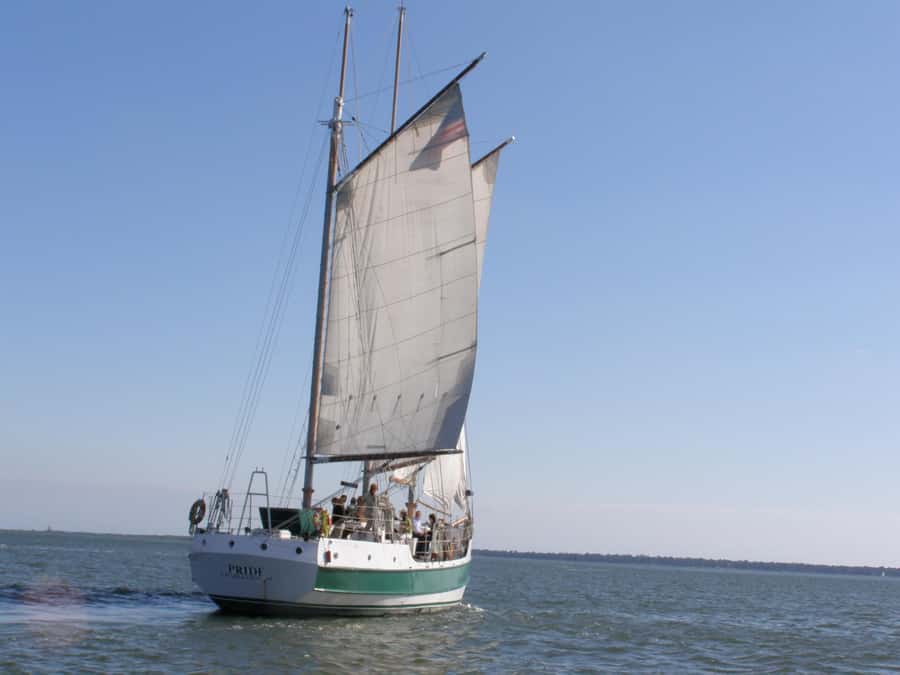 Charleston: Schooner Sailing Harbor Tour & Dolphin Watch - What you see around Charleston Harbor