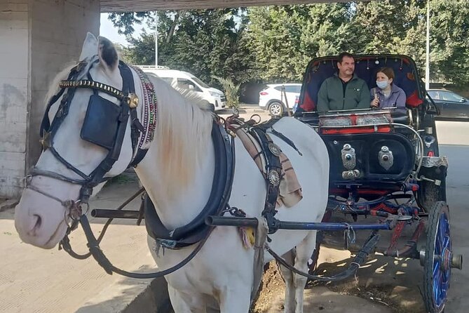City Tour by Horse Carriage and Sailing Felucca from Cairo/Giza Hotels - What the private format changes