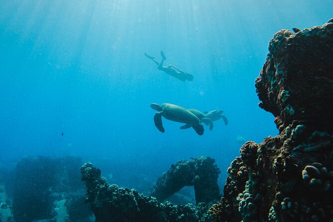 Coral Gardens Coastal Snorkel & Sail - Coastal sailing between the harbor and Coral Gardens