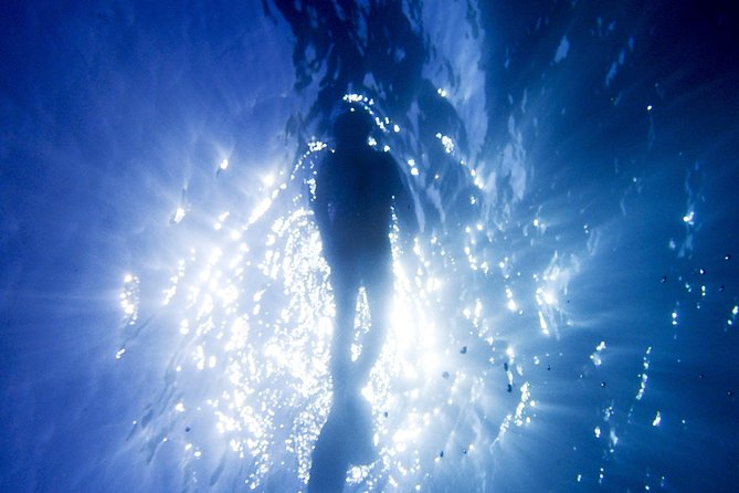 Coral Sea Dreaming Overnight Dive, Snorkel and Sail - Day 1: settling into the reef routine