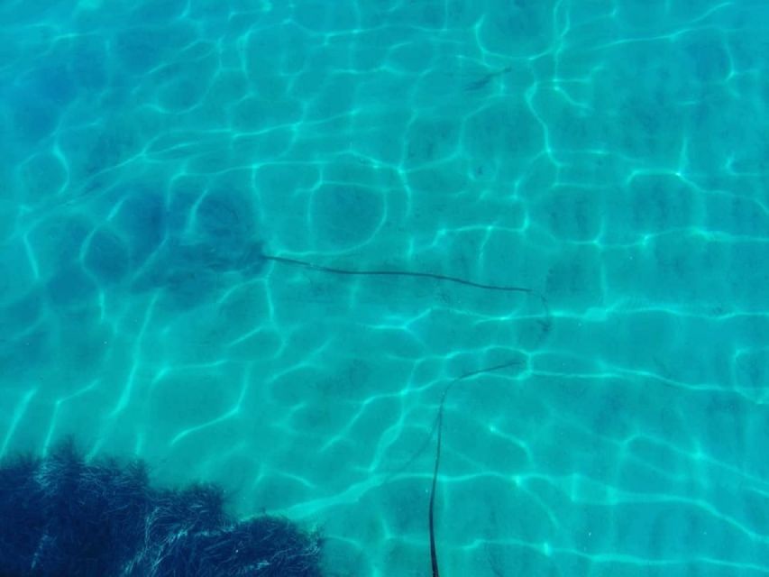Corfu: Private Sailing Yacht Cruise - Vido Island, Lazareto, and time in the water