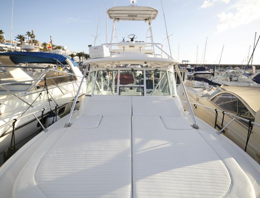 Costa Adeje: Private Yacht Sailing Tour from Puerto Colón - Dolphin Watching Without Chasing Wildlife