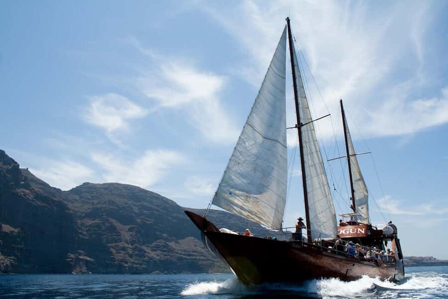 Costa Adeje: Respectful Whale-Watching Sailboat Tour & swim - A two-hour route with a swimming stop