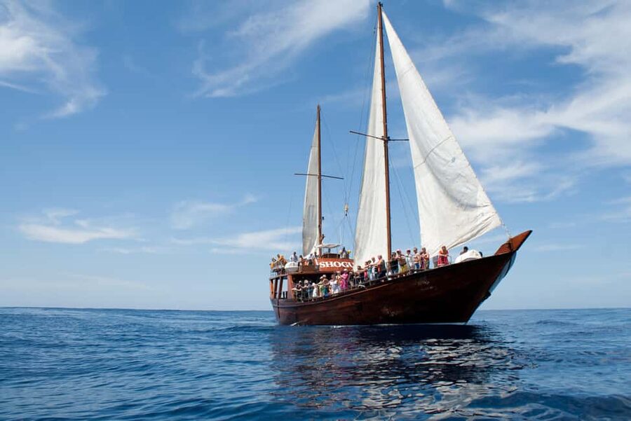 Costa Adeje: Respectful Whale-Watching Sailboat Tour & swim - Booking advice for Costa Adeje