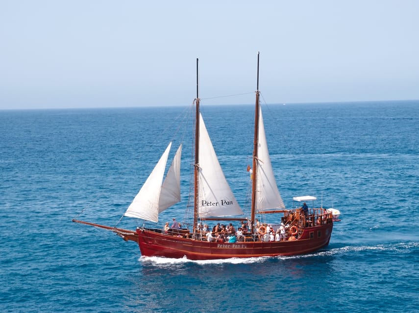 Costa Adeje: Respectful Whale-Watching Sailboat Tour & swim - Why pilot whales gather off Tenerife