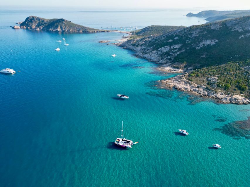Côte d'Azur: Half-Day Coastline Catamaran Sailing Tour - Timing, Weather, and Practical Planning