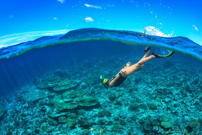 Cozumel Luxury Sailing & Snorkeling Cruise Experience - How much time you really get