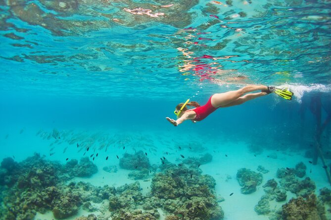 Cozumel Luxury Sailing & Snorkeling Cruise Experience - Is $139 a fair price?