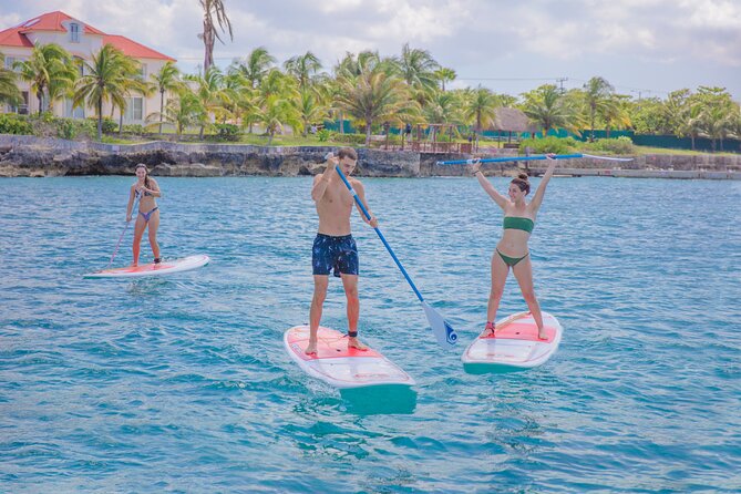 Cozumel Luxury Sailing & Snorkeling Cruise Experience - Playa El Cielo and the marine life below