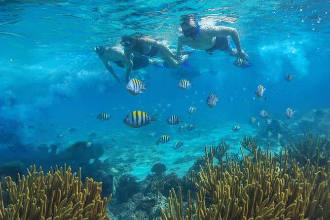 Cozumel Luxury Sailing & Snorkeling with Lunch and Open Bar Onboard - Who should book this Cozumel excursion?