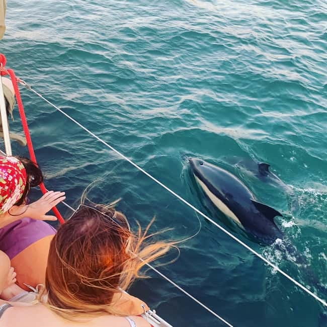 Cultural Sailing Tour in Lisbon - Why Lisbon’s Waterfront Looks Best From the Tagus