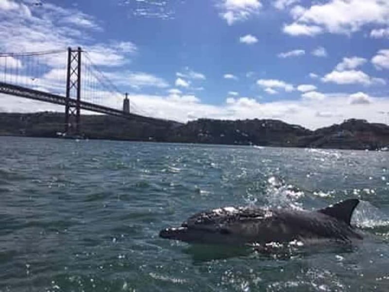 Cultural Sailing Tour in Lisbon - How the Two-Hour Timing Affects Your Day