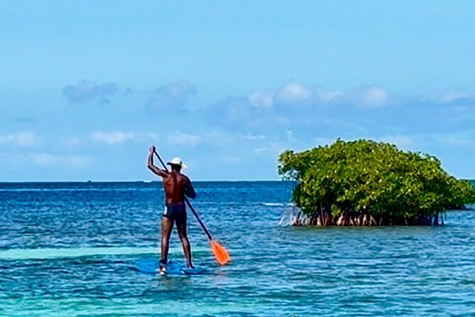 Day Lagoon 100% Sailing stops Snorkelling Paddle - Should you book this sailing day?