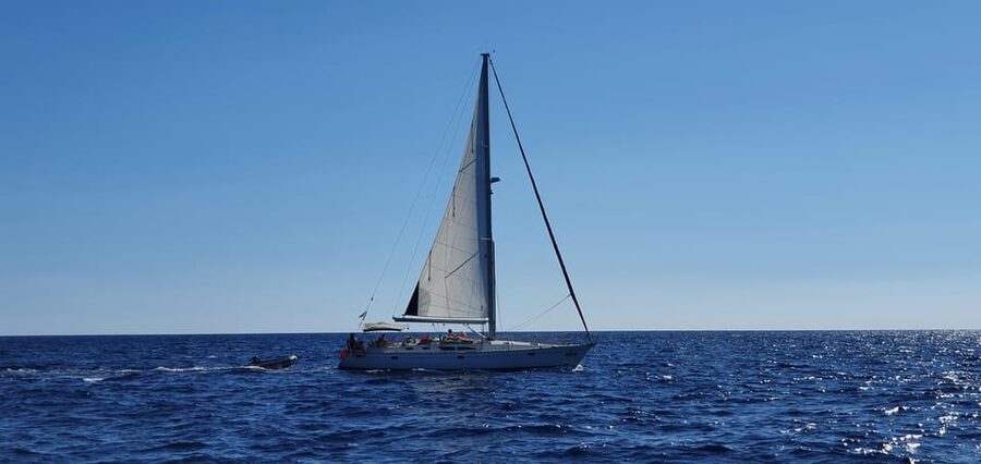 Day Sail tour from Ibiza to Formentera - What the high rating means in practical terms
