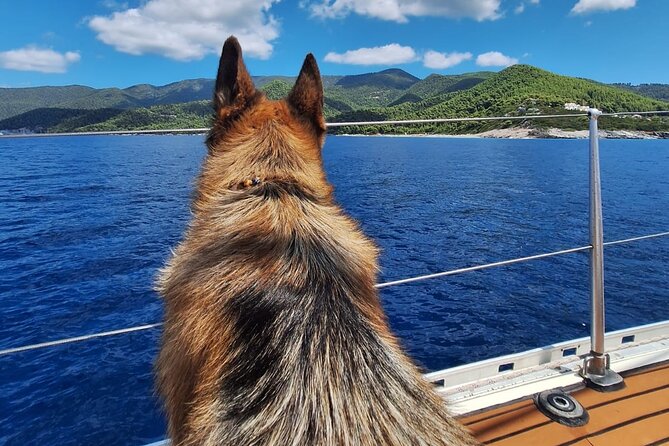 Day sailing Skiathos Skopelos with lunch on Rainbow yacht - Dasia and Arkos depend on the sea