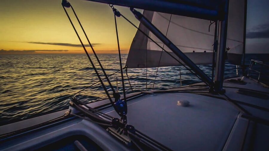 Denia: Sunset Electric Sailboat Cruise with Dolphin Spotting - Who will enjoy this Denia cruise?