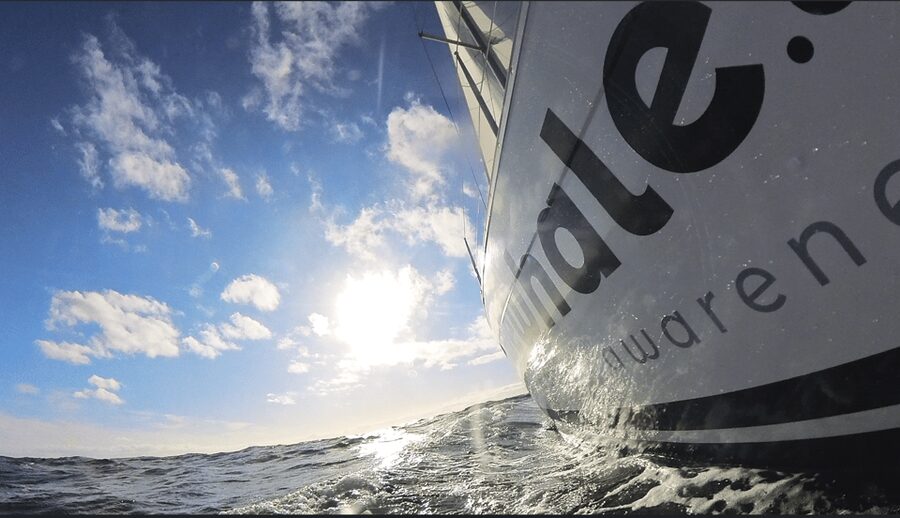 Denia: Sunset Electric Sailboat Cruise with Dolphin Spotting - The quiet advantage of electric sailing