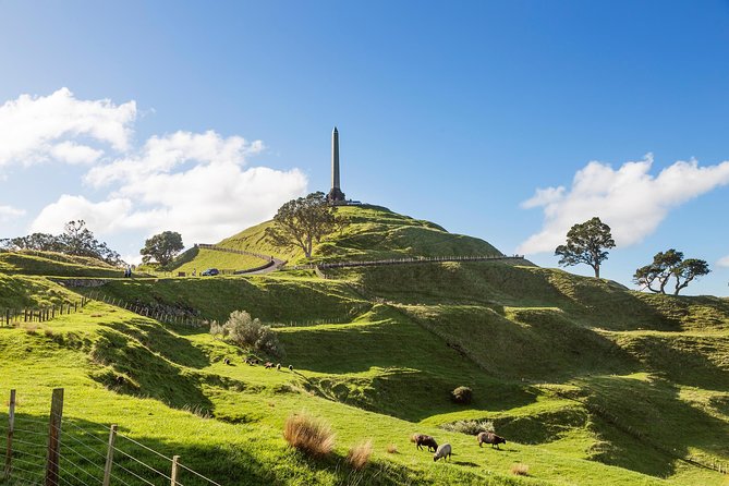 Discover Auckland City Tour: The City of Sails - Mount Eden and Auckland from above