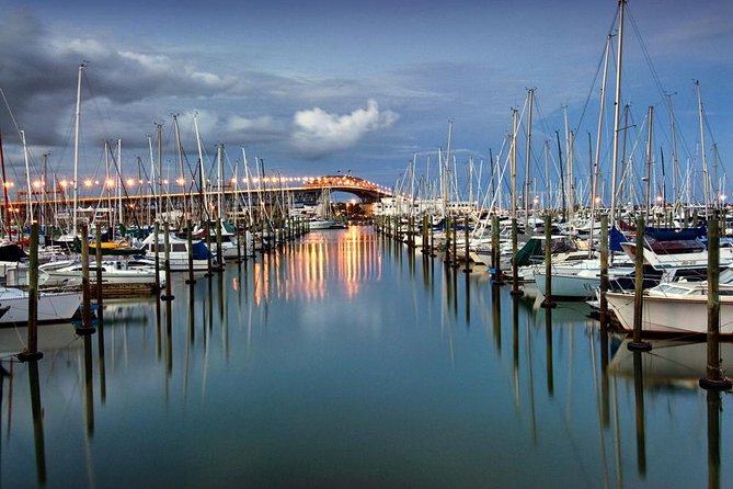 Discover Auckland City Tour: The City of Sails - What the vehicle and guide add