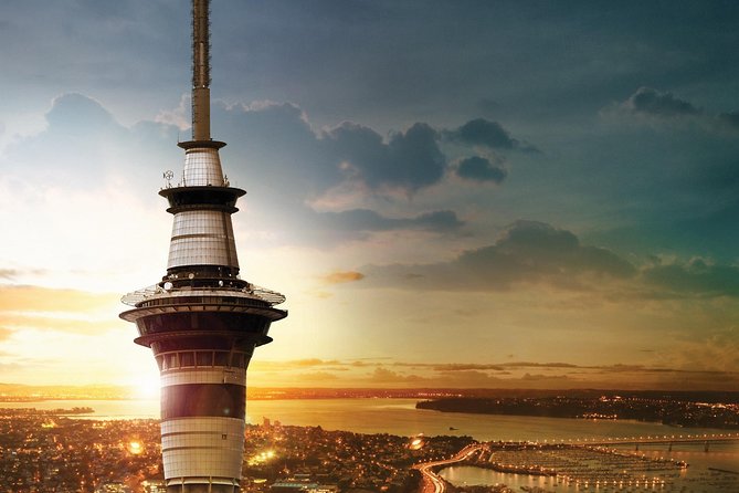 Discover Auckland City Tour: The City of Sails - Who should book this three-hour tour?