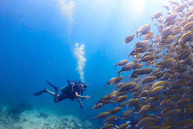 Diving Tour for Certified Divers: Sail Rock or Koh Tao - The boat ride and rough-sea planning