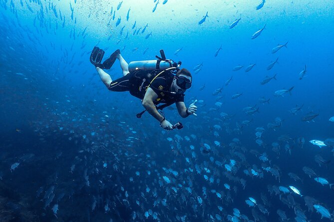 Diving Tour for Certified Divers: Sail Rock or Koh Tao - Lunch, drinks, and what the price includes