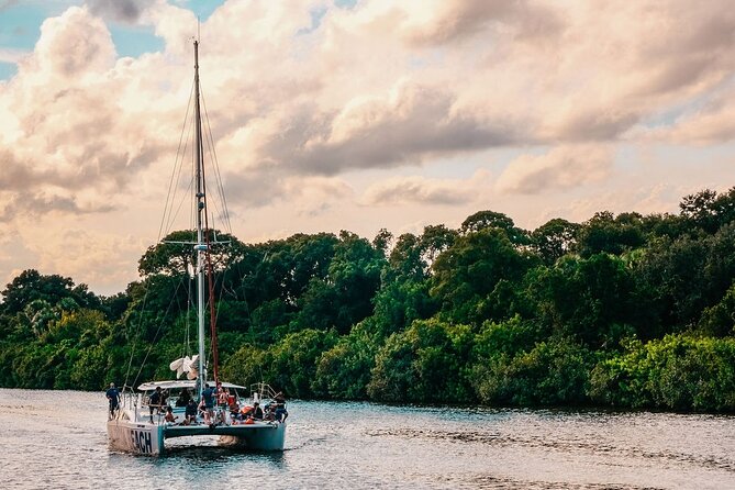 Dolphin Adventure Sail in Cocoa Beach - Key points to know before you sail