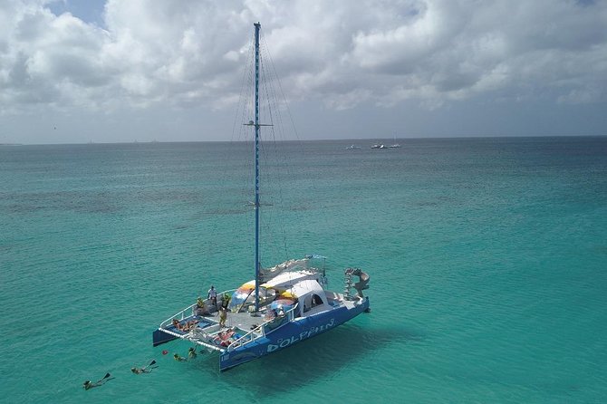 Dolphin Catamaran Snorkel and Sail with Open Bar - The slide and rope swing bring the fun