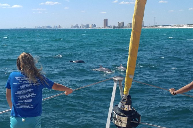 Dolphin Sightseeing on the Privateer Catamaran - Key things to know before you sail