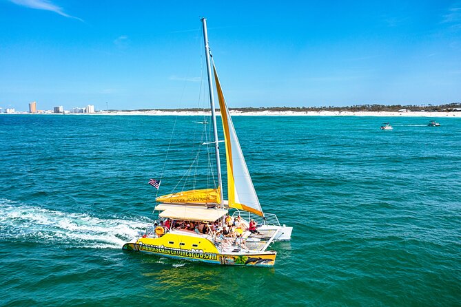 Dolphin Sightseeing on the Privateer Catamaran - Looking for dolphins in their natural habitat