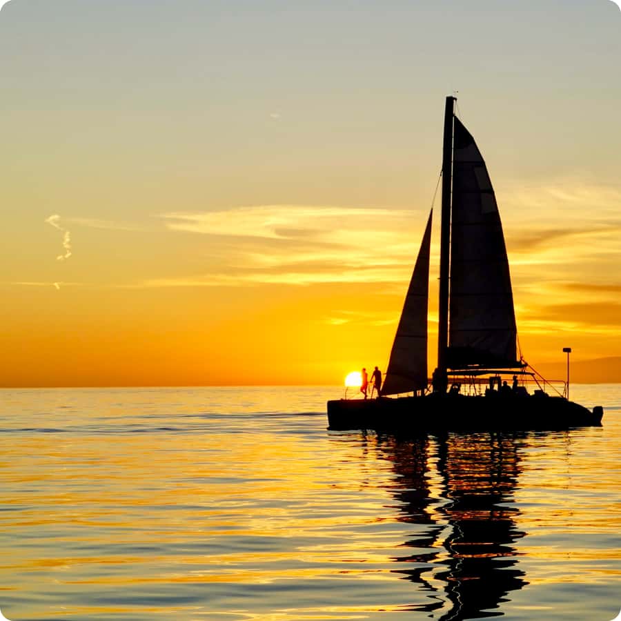 Dolphin Watch + Sunset Sail - Key points to know before you book