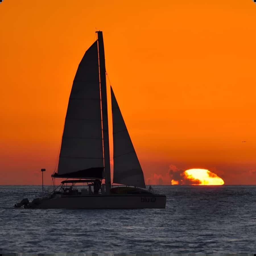 Dolphin Watch + Sunset Sail - Why the catamaran design helps