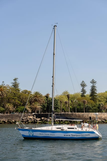 Douro River Cruise with Cheese & Tonic Porto in a Sailboat - Passing under the Arrábida Bridge