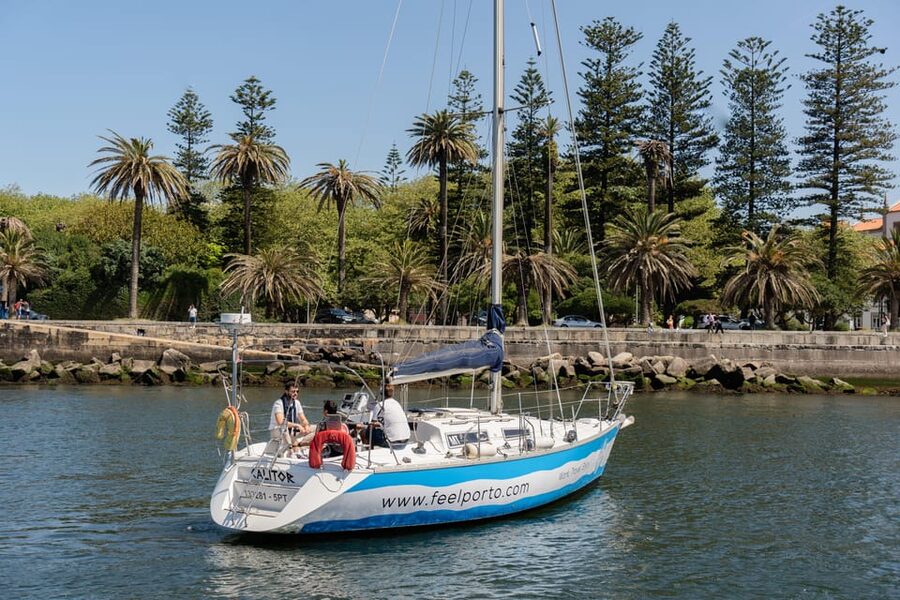 Douro River Cruise with Cheese & Tonic Porto in a Sailboat - Under the Luís I Bridge