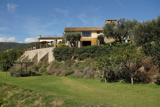 Ebike Tour, Winery, Wine Tasting & Sailing Experience(car option) - Who should book this Barcelona day trip?
