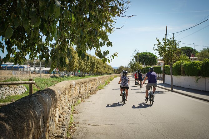 Ebike Tour, Winery, Wine Tasting & Sailing Experience(car option) - Should you book the Alella e-bike, wine, and sailing tour?
