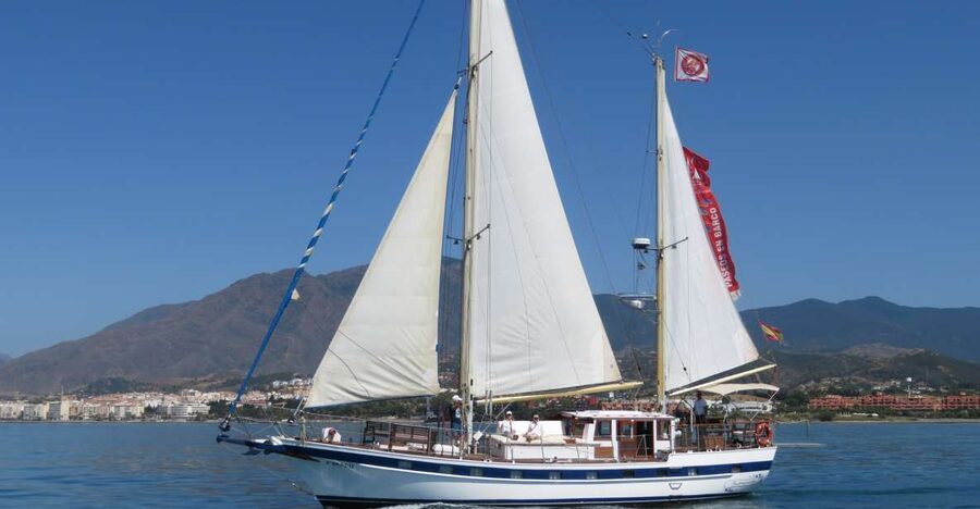Estepona: Dolphin Watching Sailboat Cruise with Drink - Setting out from Estepona’s Puerto